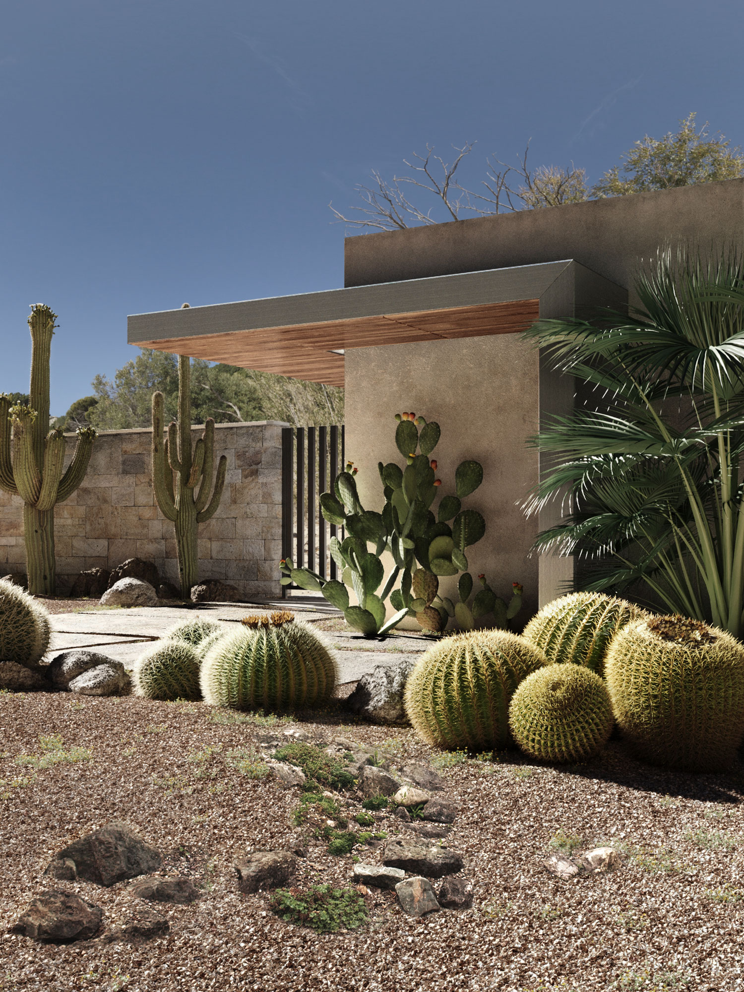 Cactus House